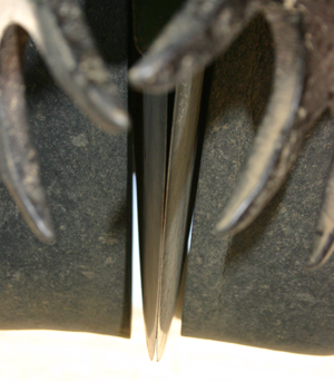 No-Till Planter Tips