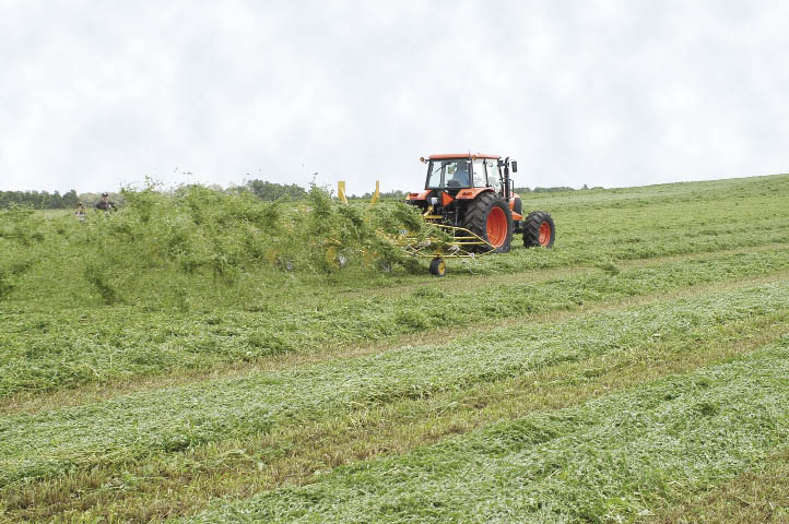 How Hay Equipment Affects Forage Quality How Hay Equipment Affects Forage Quality