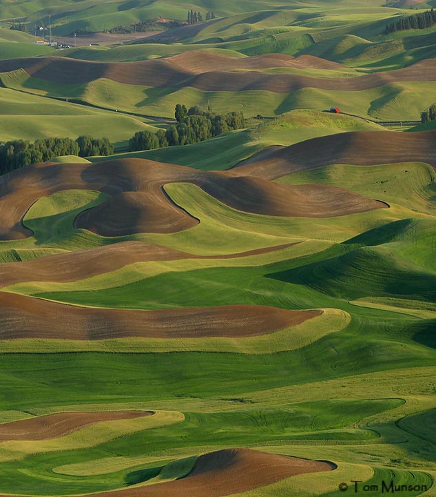 Palouse Region, Southeastern Washington Palouse Region, Southeastern Washington