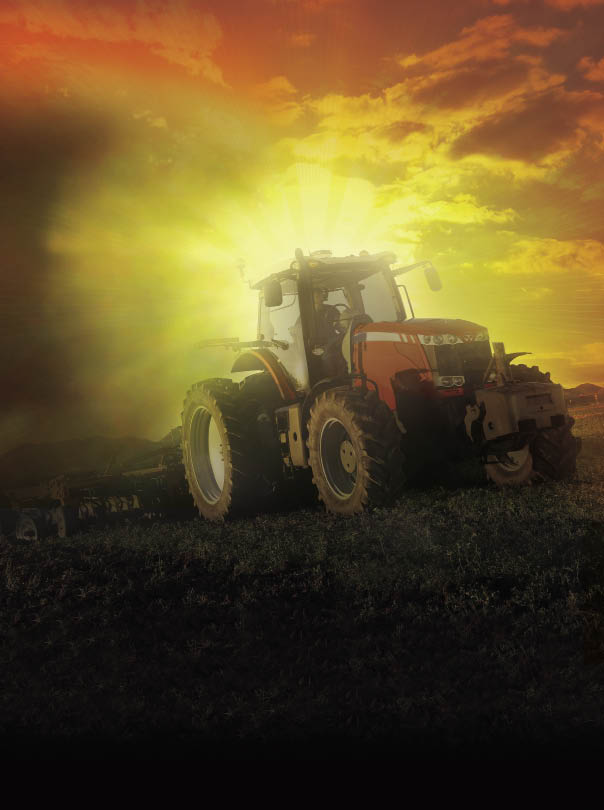 In the Field In the Field