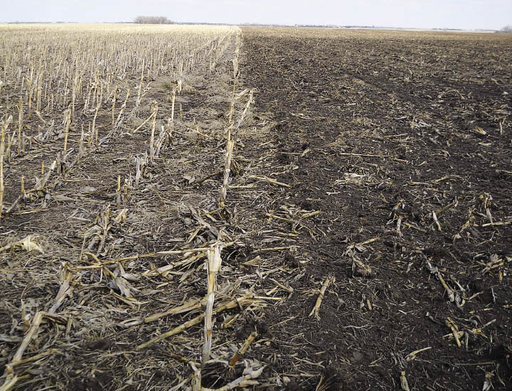 Sample crop residue