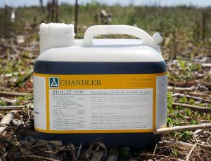 Chandler Biocat 1000