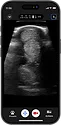 Updated_MSK_Equine_Scan.png
