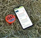 HAYTECH_Probe_&App.jpg HAYTECH_Probe_&App.jpg