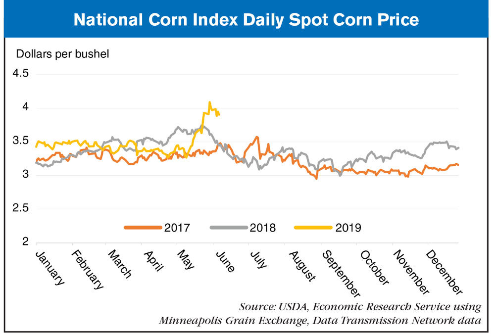 National-Corn-Index-Daily-Spot-Corn-Price