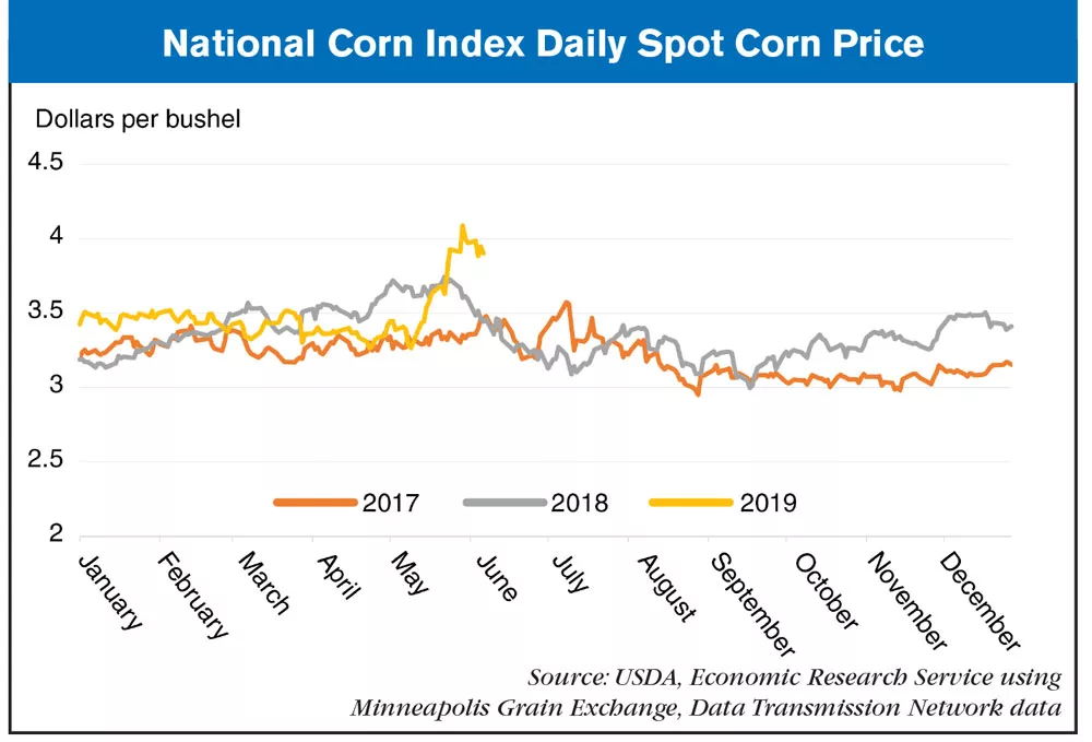 National-Corn-Index-Daily-Spot-Corn-Price