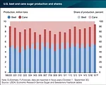 Sugar Production
