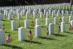 Memorial Day image