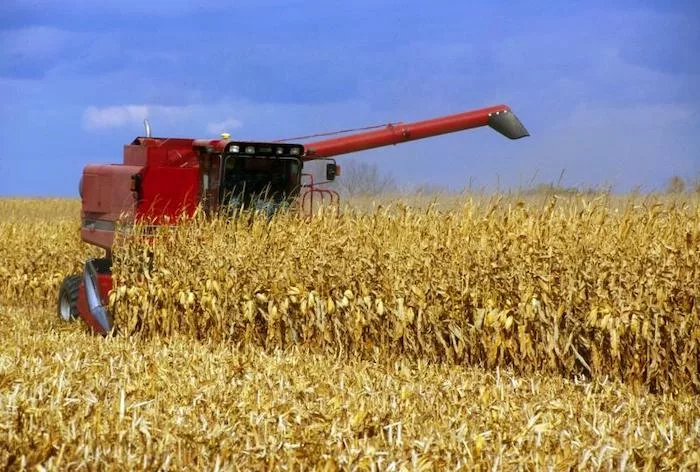Nebraska Harvest