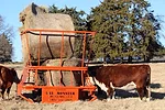GoBob Hay Feeder