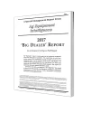 2017 Big Dealer Report Cover