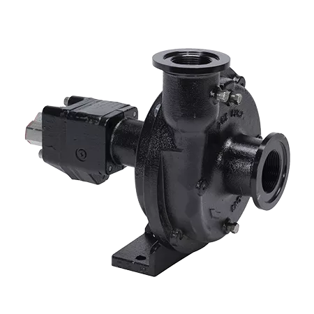 Ace-Pumps-FMCSC-155F-HYD-206-web.png