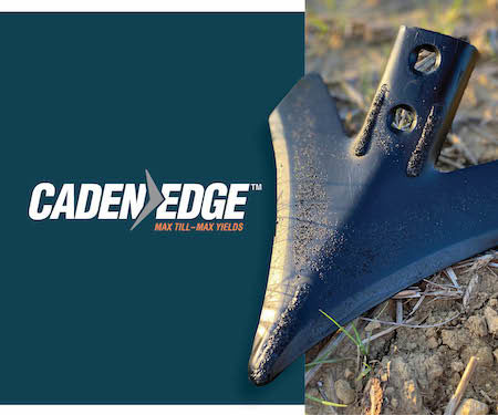 Caden Edge