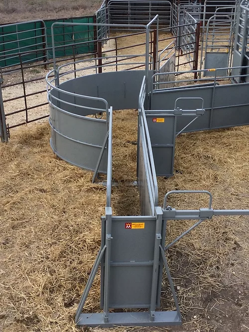 Winkel_Calf_Processor _0517 copy