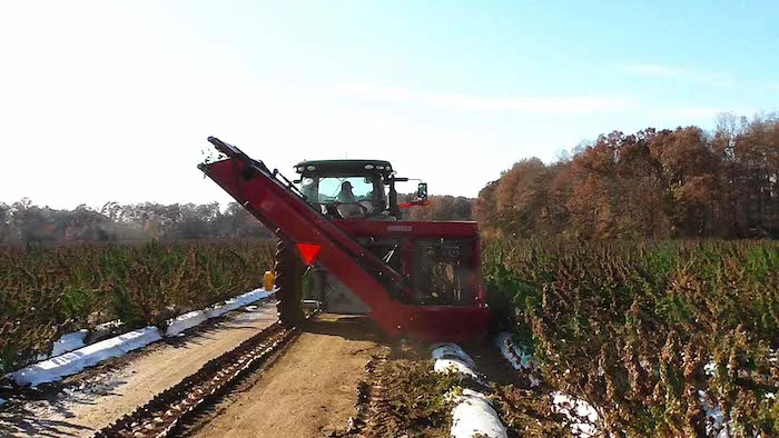 Hiniker Hemp Harvester _0320 copy