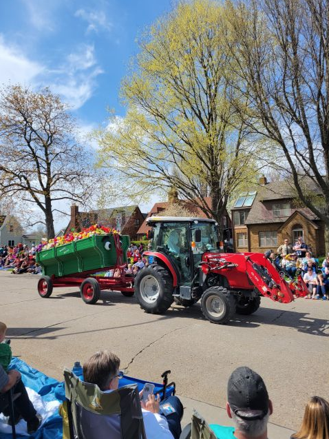 tractor pulling tulips