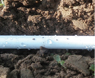 Root Demand Irrigation RDI 73B40