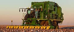 John Deere CS690 Cotton Stripper