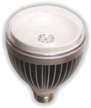 17-007_PF_Bulb_final_300dpi_002.jpg