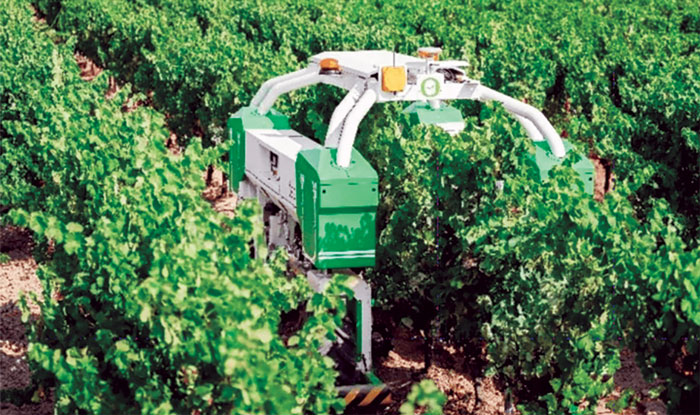 Naio-Technologies-Ted-Vineyard-Robot.jpg