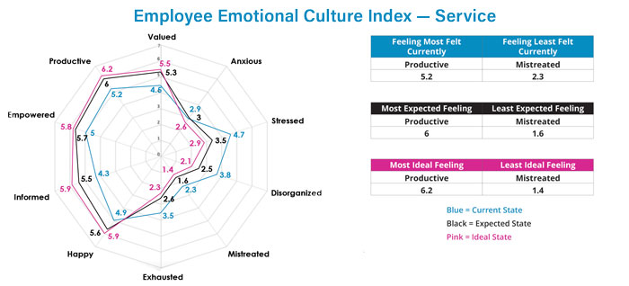 Employee-Emotional-Culture-Index--Service-700