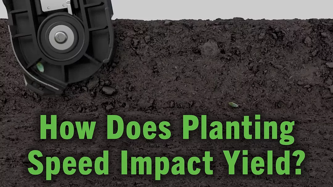 How Does Planting Speed Impact Yield.jpg