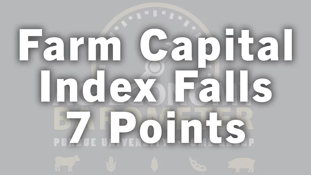 Farm Capital Index Falls 7 Points.jpg