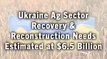 Ukraine Ag Sector Recovery & Reconstruction Needs Estimated at $6.5 Billion.jpg