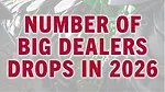 Number of Big Dealers Drops in 2026.jpg