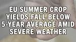 EU Summer Crop Yields Fall Below 5-Year Average Amid Severe Weather.jpg