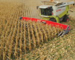 Narrow-Row Corn Harvest