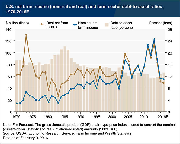 farm sector income