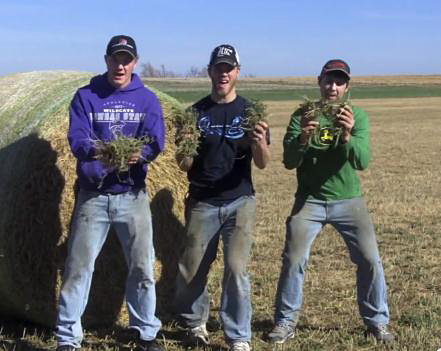 Their Youtube channel, “The Peterson Farm Bros,” shows the brothers camping it up for their own catchy renditions of popular music hits, all on the theme of agriculture. 